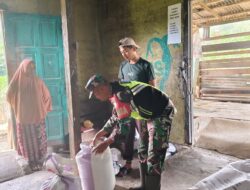 Babinsa Komsos Dan Memantau Kualitas Beras Di Pengilingan Padi