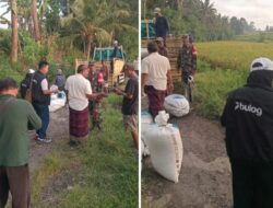 Dukung Program Hanpangan Pemerintah, Babinsa Pantau Kegiatan Bulog Sergab di Desa Binaan