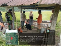 Babinsa Mendampingi PPL dan Petani Dalam Pengamatan Tanaman Padi dan Penanggulangan Hama