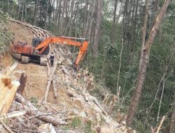 Untuk Menjaga Terjadinya Longson Erosi , Kekeringan Bupati harus Turun Tangan Untuk Mengevaluasi Ijin Dokumen.