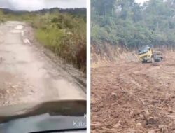 Deforestasi dan Penggundulan Hutan di wilayah Kabupaten Tapanuli Utara Berdampak Buruk