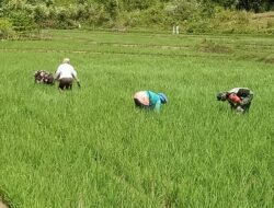 Peran Optimal Babinsa Sukseskan Katahanan Pangan.