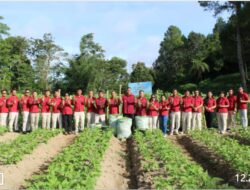 Lapas Kelas IIB Siborongborong Telah Menuai Hasil Panen Buncis Untuk Mengujudkan Sala-satu Program Pemerintah Pusat dibidang Ketahanan Pangan.