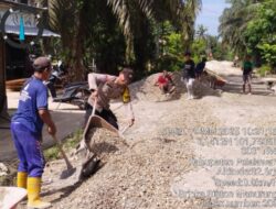 Aksi Bhabinkamtibmas Polsek Langgam Ikut Gotong Royong Bangun Jalan Desa