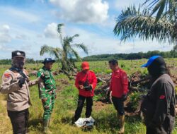 2.000 Batang Cabe Ditanam, Polisi Dukung Pangan Bergizi dari Pekarangan Warga