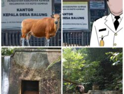 Warga Minta Anggaran DD Di Desa Balung Di Audit Dianggap Bermasalah