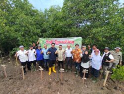 Wakil wali kota dan forest for life Indonesia melakukan penanaman mangrove bersama