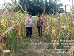 Patroli Sambang Kebun, Polsek Pangkalan Lesung Dukung Program Presiden RI