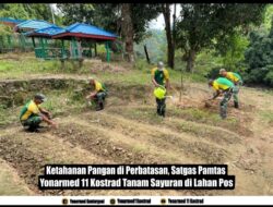 Ketahanan Pangan di Perbatasan, Satgas Pamtas Yonarmed 11 Kostrad Tanam Sayuran di Lahan Pos