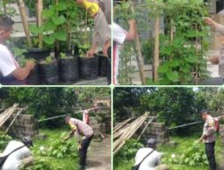 Dukung Ketahanan Pangan Nasional, Bhabinkamtibmas Desa Punggul Terus Dorong Warganya Manfaatkan Pekarangan Rumah