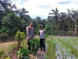 Dukung Ketahanan Pangan, Polisi Pangkalan Lesung Temui Petani