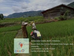 BabinsaTinjau Perkembangan Pertumbuhan Tanaman Padi Milik Warga Binaa.