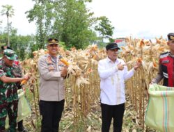 Kapolres Aceh Tengah Pimpin Panen Jagung Serentak Kuartal II di Lahan Produktif Polsek Pegasing