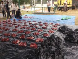 Masyarakat Desa Bukit Mulia Sembelih 5,Lembu:4 Kambing Hewan Qurban