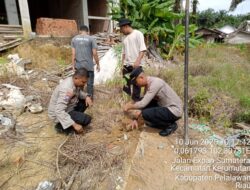Dukung Program Kapolda Riau, Polsek Kerumutan Tanam Bibit Durian di Dusun Kayu Ara