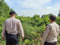 Stop Karhutla, Polsek Pangkalan Kerinci Patroli Daerah Rawan