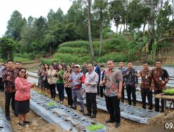 Lapas Kelas IIB Siborongborong Sedang Galakkan Program Pemerintah Pusat yaitu Ketahanan Pangan