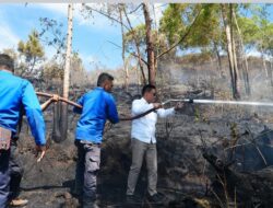 Bupati Humbahas Pimpin Pemadaman Kebakaran Hutan di Perbukitan Danau Toba.