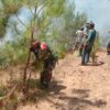 Lahan Terbakar, Babinsa Koramil 05/Linge Bersama Warga, Berjibaku Padamkan Api
