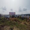 Ketahanan Pangan dari Lahan Perkebunan, Panen Jagung Digelar di Ukui