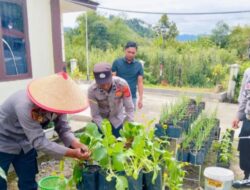 Kapolsek Celala dan Anggota Panen Sayur Mayur di Lahan Perkarangan Bergizi Polsek