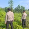 Pencegahan Karhutla, Polsek Pangkalan Kerinci Lakukan Patroli dan Sosialisasi