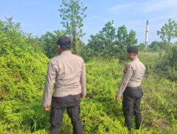 Pencegahan Karhutla, Polsek Pangkalan Kerinci Lakukan Patroli dan Sosialisasi