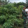 Polisi dan TNI Bersinergi Cegah Karhutla di Bunut Pelalawan