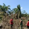 Cegah Karhutla, Polsek Teluk Meranti Turun ke Lahan Bersama TNI, Manggala Agni, dan MPA