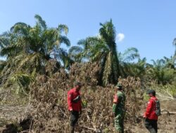 Cegah Karhutla, Polsek Teluk Meranti Turun ke Lahan Bersama TNI, Manggala Agni, dan MPA