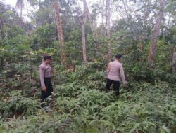 Polsek Pangkalan Kuras Sisir Lahan Rawan, Cegah Karhutla Sejak Dini
