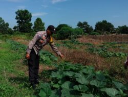 Polisi Ajak Warga Pangkalan Kerinci Tanam Sayur di Pekarangan