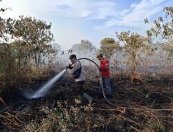 Polsek Teluk Meranti, TNI, Manggala Agni, dan RPK Perusahaan Berjibaku Padamkan Karhutla di Desa Kuala Panduk dan Pulau Muda
