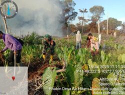 2 Hektare Lahan Terbakar di Ukui, Tim Gabungan Berjibaku Padamkan Api Hingga Malam