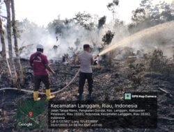 Titik Api Diam-diam Muncul di Langgam Pelalawan, Petugas Bergerak Cepat