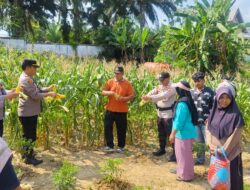 Sinergi Polri dan Desa Mulya Subur Wujudkan Ketahanan Pangan Mandiri