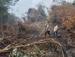 Hari Ketujuh Pendinginan Karhutla di Pelalawan, Tim Gabungan Sisir Lokasi Hingga ke Titik Dalam