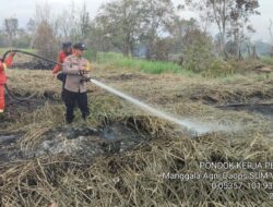 Hari Ketiga Pendinginan Karhutla di Pelalawan, Titik Asap Mulai Hilang