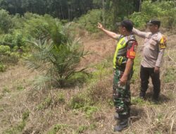 TNI-Polri Gelar Patroli Karhutla di Desa Petani Pelalawan, Warga Diimbau Tak Bakar Lahan