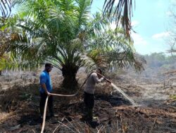 Karhutla Teluk Meranti: Tim Gabungan Lakukan Pendinginan Hari Ketiga di Lahan Gambut Pulau Muda