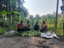 Polisi dan Petani, Dua Peran Bripka Zaifudin di Desa Kampung Baru