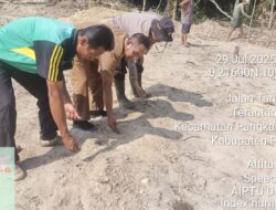 Warga Desa Dundangan, Pelalawan Tanam Jagung Pipil di Lahan 2 Hektare