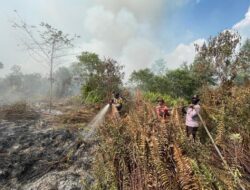 Karhutla di Teluk Meranti Pelalawan, Api Padam tapi Masih Ada Asap
