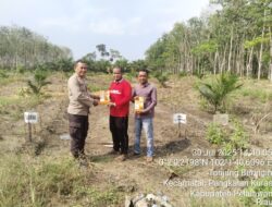 Polsek Pangkalan Kuras Dampingi Penanaman Jagung Program Ketahanan Pangan di Tanjung Beringin