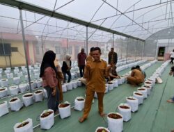 Gotong Royong Polsek Ukui dan Pemdes Lubuk Kembang Bunga Tanam Bibit Melon untuk Meningkatkan Ekonomi Desa