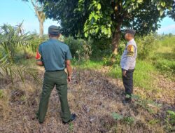 Polsek Langgam Patroli Karhutla di Segati Dalam, Tak Ditemukan Titik Api