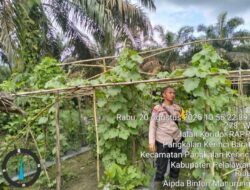 Polisi Ajak Warga Pangkalan Kerinci Barat Tanam Sayur Bergizi di Pekarangan