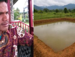 Satria Akan Budidayakan Ikan Bawal Sebagai Contoh Potensi Desa.