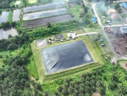 Holding Perkebunan Nusantara Dorong Mitigasi Iklim, PalmCo Jual Kredit Karbon Mulai Rp150 Ribu per Ton