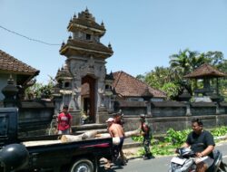Danramil Payangan Apresiasi Babinsa Aktif Dampingi Warga Lewat Kegiatan Gotong Royong